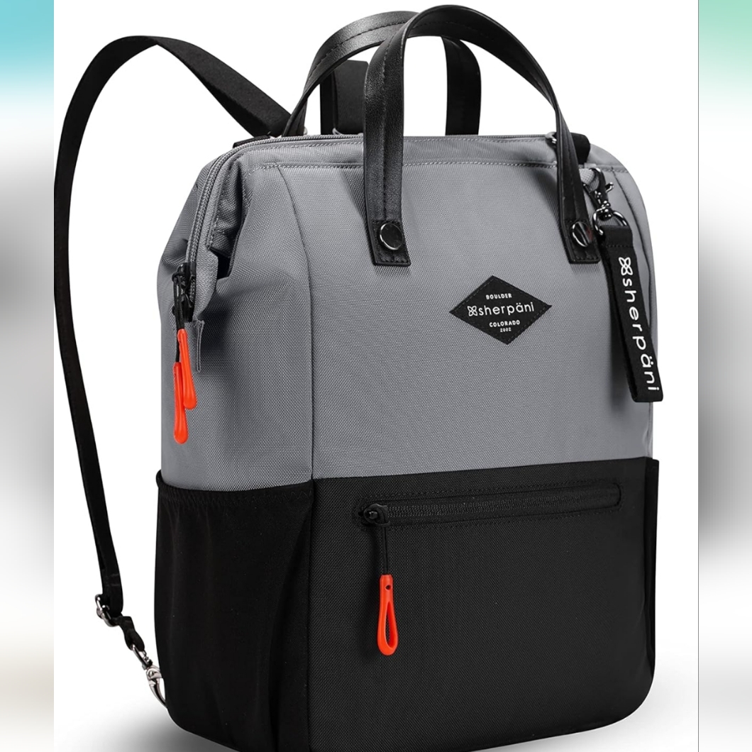 Sherpani Dispatch Backpack